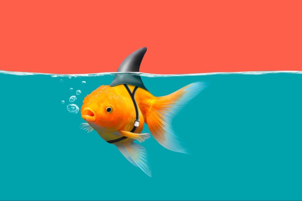 storytelling marketing